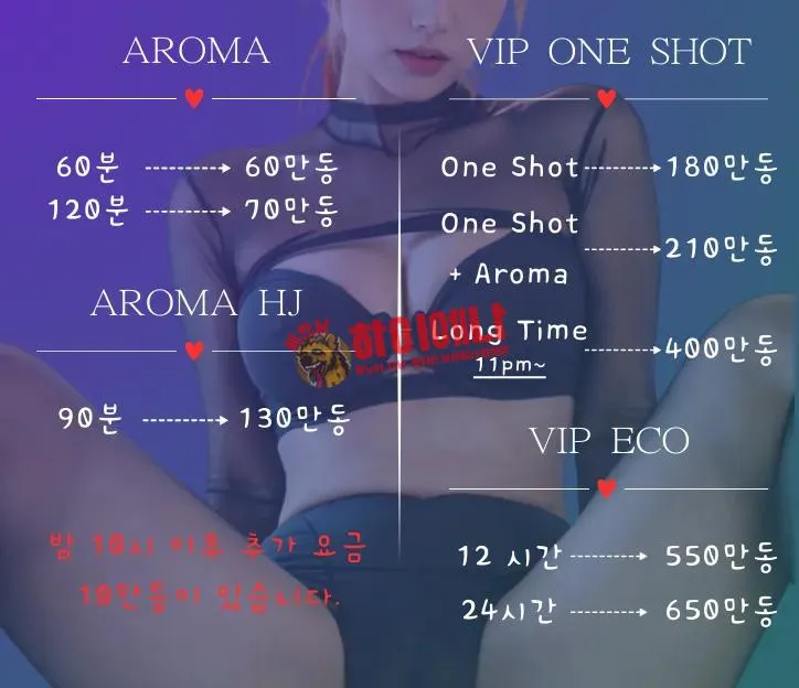 나뷰티 가격표.png