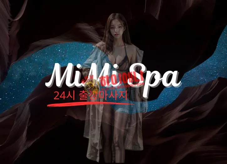 미미출장 설명.png